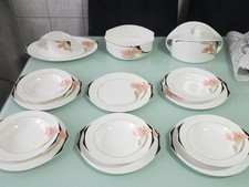 Villeroy & Boch Iris Speiseservice für 5/6 Personen TOP