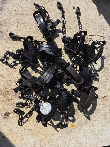 Lot Of 12 BMI Number 1 1/2 Coil Spring Traps  Trapping Trap