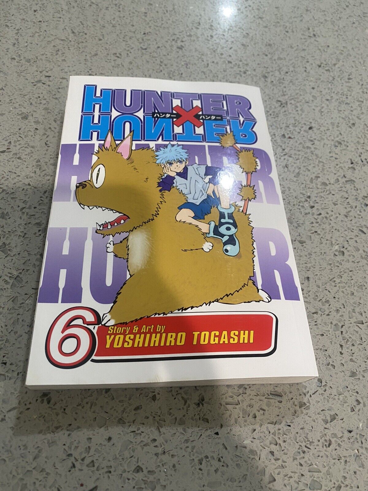 Hunter X Hunter, Vol. 10 - By Yoshihiro Togashi (paperback) : Target