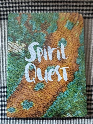 SPIRIT QUEST By Colin Read Skate Video DVD Sealed Mandible Claw 2016