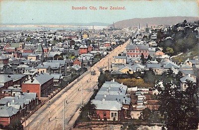 DUNEDIN, NZ~ STREET & TOWN OVERVIEW, Pub. GOV'T DEPT OF RESORTS ~ 1910s