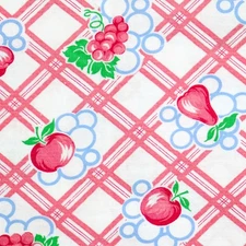 Vintage Feedsack Fabric Novelty Bubbles Fruits 1940s Old 18x20 Gingham Grapes