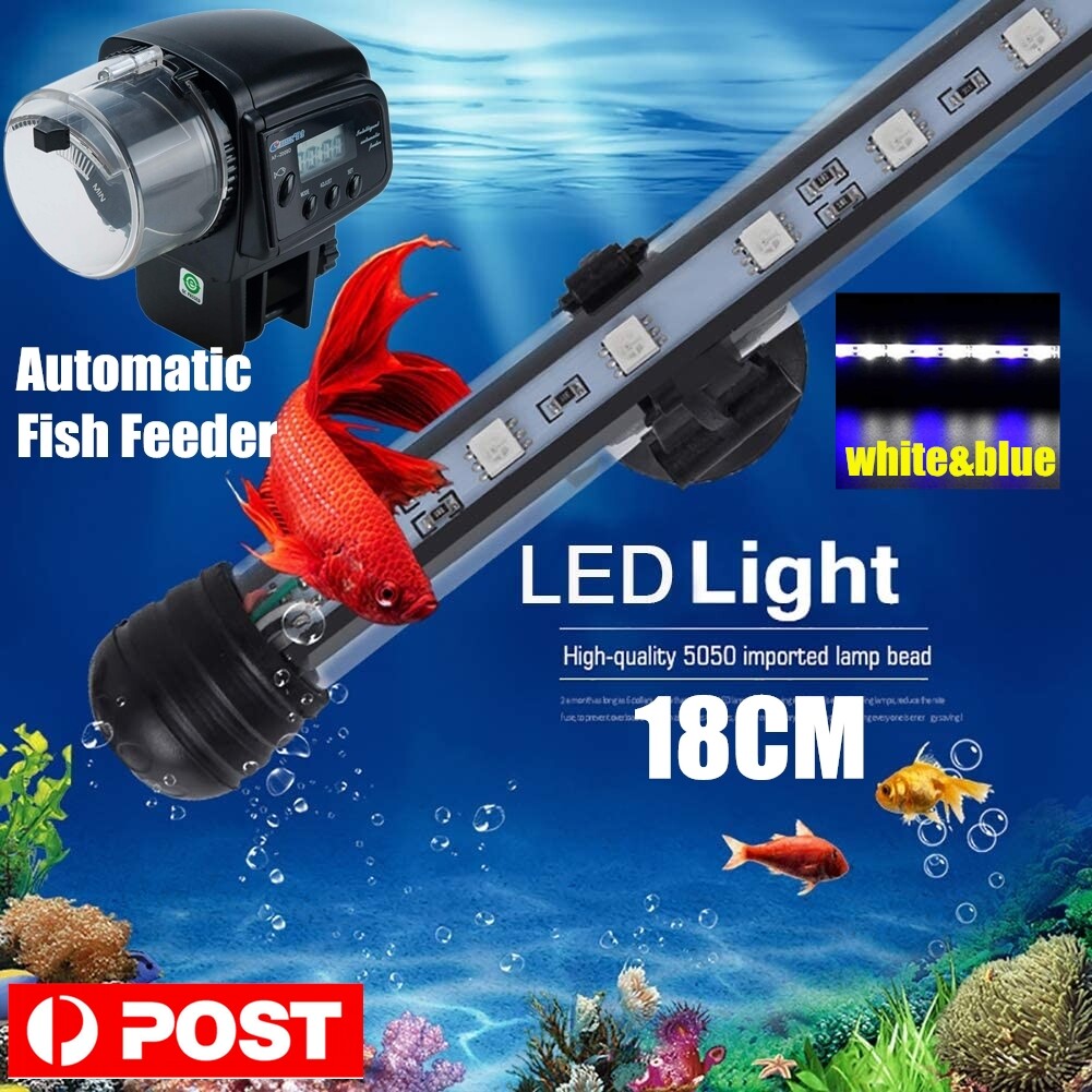 Marineland Light Bar Flashing Shelly Lighting