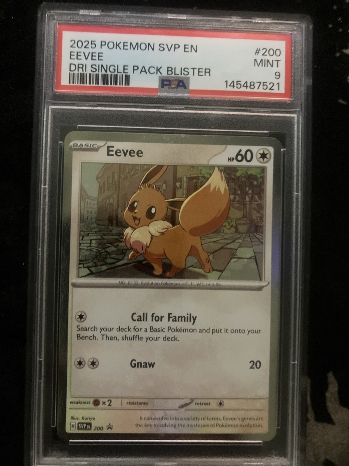 Pokémon TCG Eevee PSA 9 SVP200 Scarlet & Violet Black Star Promo Destined Rivals