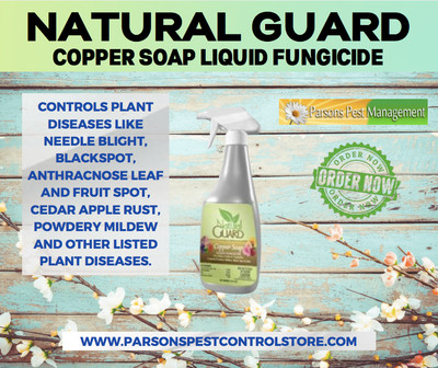 Natural Guard Copper Soap Liquid Fungicide (24 oz RTU ...