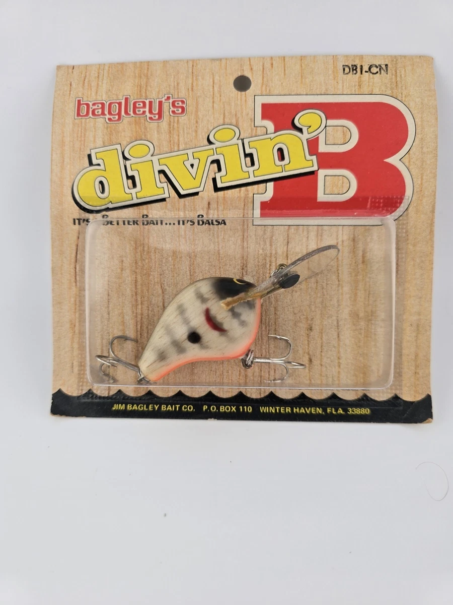 Petit leurre de pêche à la frite Bagley vintage. Tigre. SHGF. Teinte Petit leurre de pêche à la frite Bagley vintage. Tigre. SHGF. Teinte