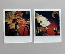2 x Polaroid, edizione limitata, Color Photo, fotografia, immagine istantanea, arte