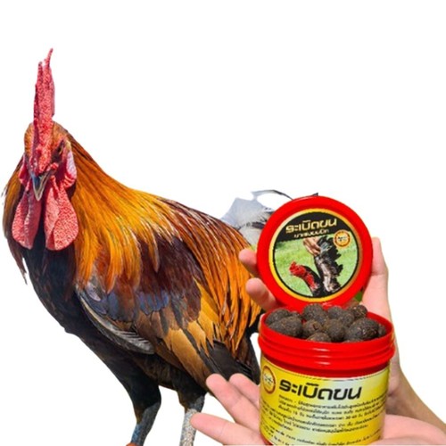 Feathers Bombs Hair Accelerate Wing Neck Feathers Grow Faster Chicken Vitamin He - Picture 2 of 10