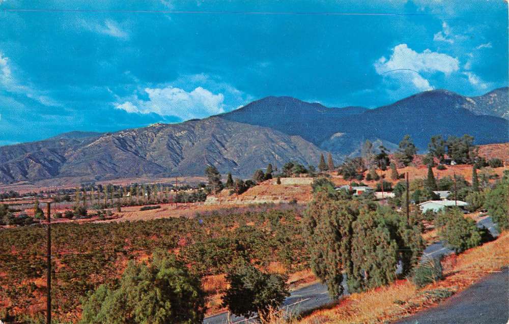Yucaipa California Scenic Mountain View Vintage Postcard K54542 | eBay