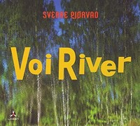 Gjorvad Sverre - Voi River - Cd - G4Z