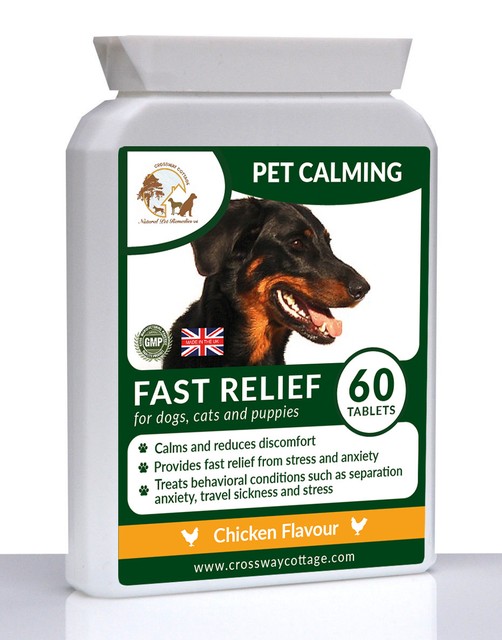 natural anxiety relief for dogs