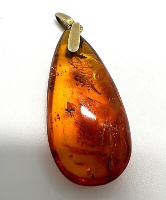 Bernstein Anhänger echter Mücke Fossil Inkluse Amber Insect Pendant 800 Silver