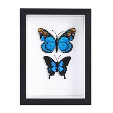 8x10 Black Shadow Box Frame Display Case for Photos,Flowers,Wedding Bouquets,...