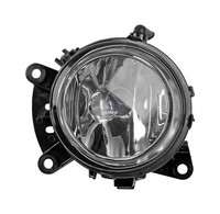 Nebelscheinwerferlinks Ohne GlüHlampen Dt Spare Parts 4.66565 24 V H11 70 W
