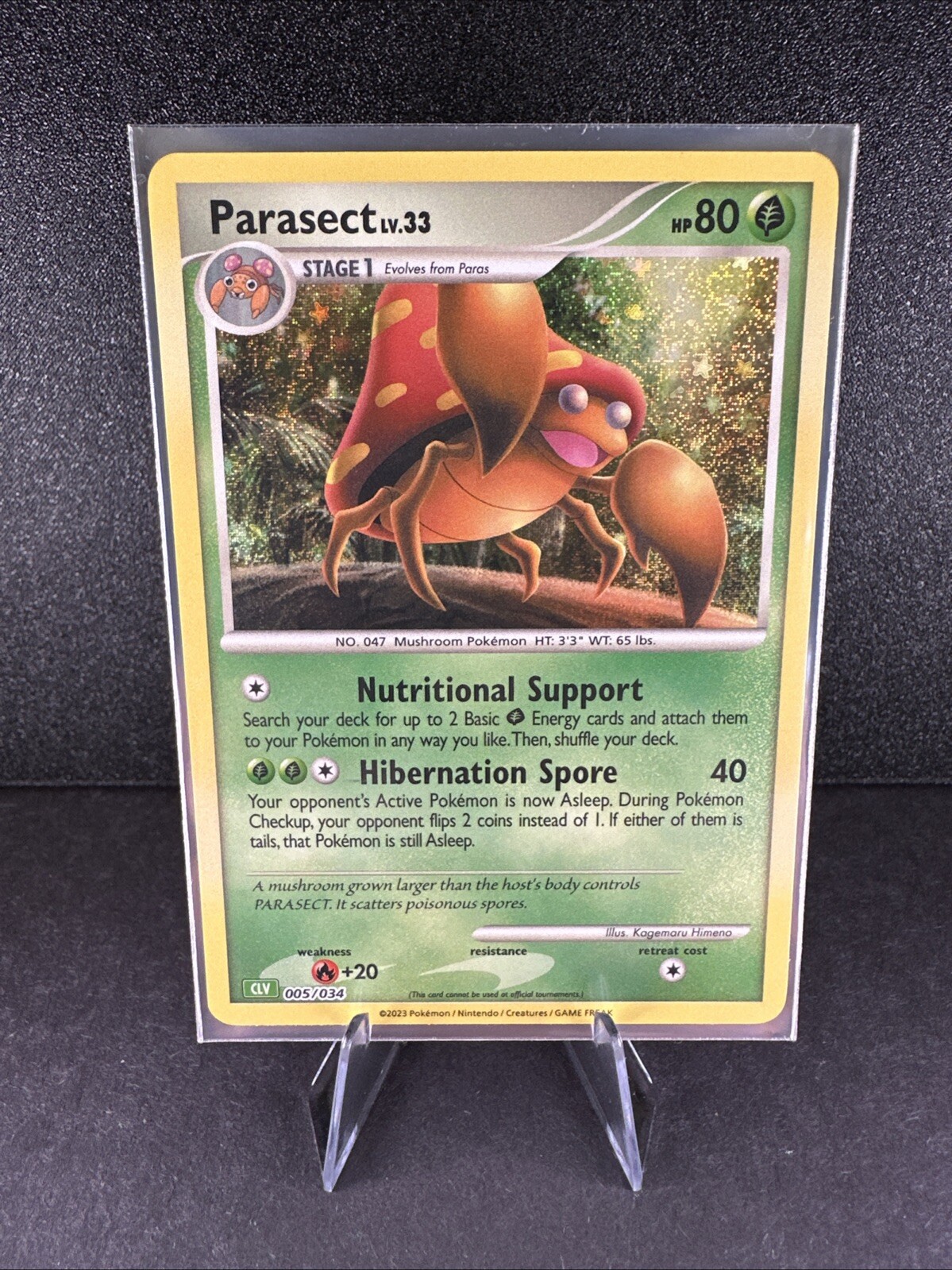 Parasect 005/034 CLV 2023 Classic Collection Holo NEAR MINT/MINT!
