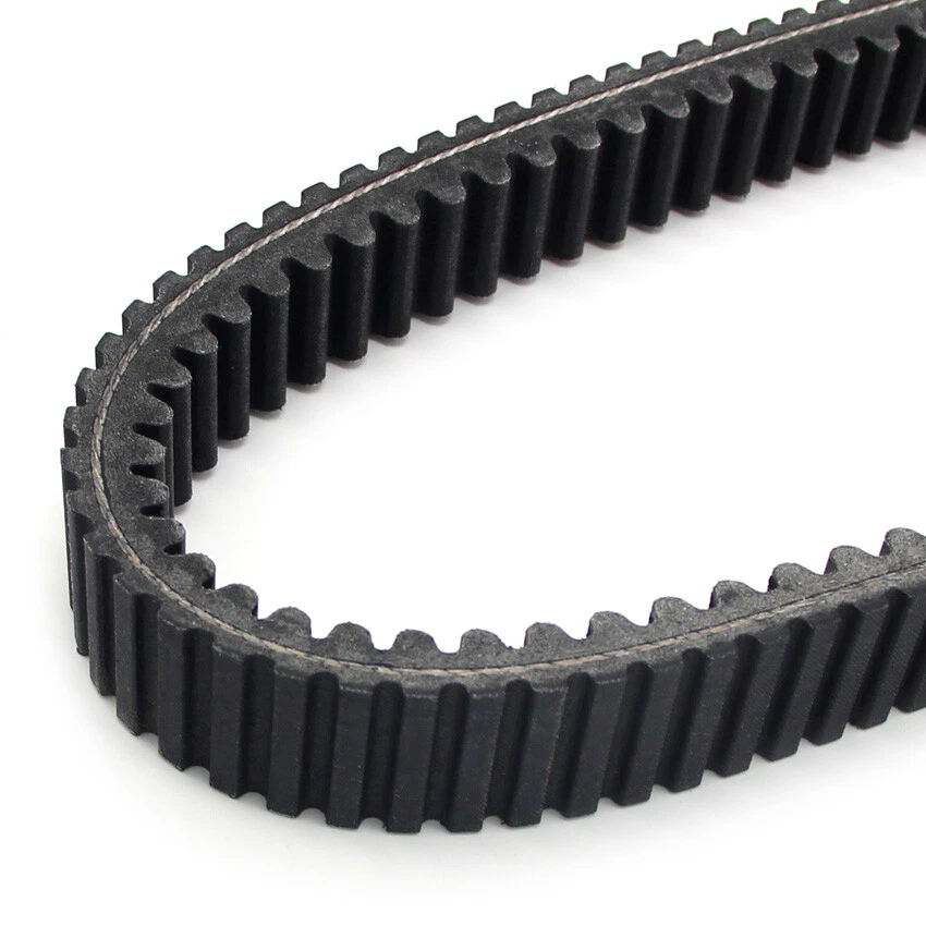 Drive belt for Massimo Militia1000 MSU800 2016-2017 - Image 3 of 4