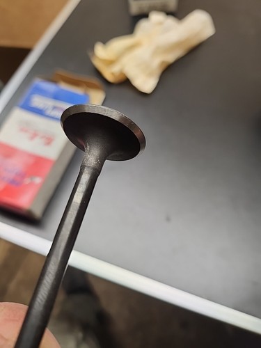 Engine Intake Valve Inlet 4pc MAZDA PROTEGE (99-03) - Picture 2 of 7