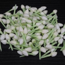 100 Pcs Tissue Paper Jasmine Buds Artificial Flowers Wedding Garlands Crafts DIY