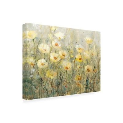 Wrapped Canvas Wall Art - Tim Otoole 'Summer in Bloom I' Wall Art for Living ...