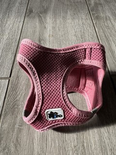 Geschirr Mesh Weste / Hundegeschirr für kleine Hunde XXS von Curli Top Zustand