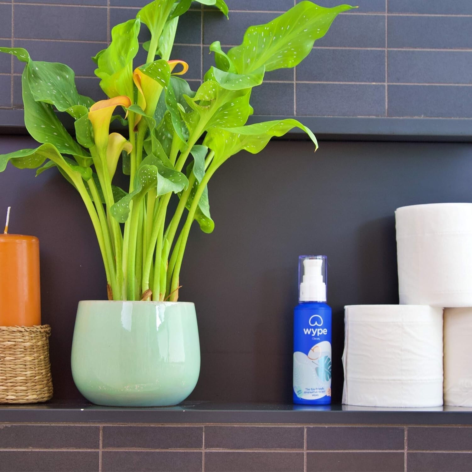 Wype Toilet Paper Gel Mini 100ml eBay