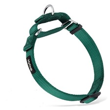 Hyhug Martingale Dog Collars for Medium Dogs, Green, Escape Proof  Heavy-dut...
