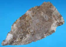 Very Fine Authentic Gibson Point Jefferson Co KY with SCA COA Arrowheads