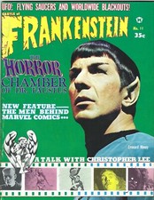 Cover of Castle of Frankenstein #11