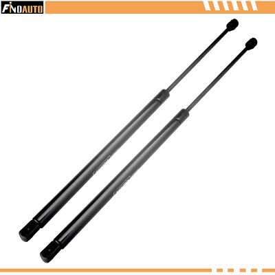 Findauto Set of 2 Liftgate Tailgate Lift Supports Gas Fits 2006-11 Chevrolet HHR