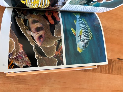 An Underwater Guide to Indonesia Hardcover, By R. Charles Anderson, Like New - Imagen 8 de 15