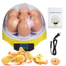 7-Egg Incubator 360  View Poultry Incubator with Manual Temperature Control f...