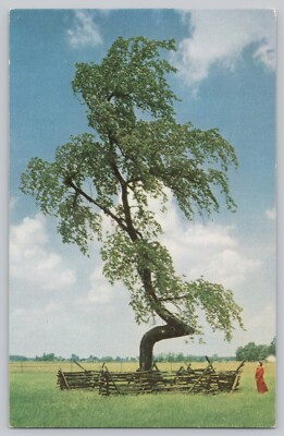 #ad Indian Trail Marker Tree Postcard SOHIO Standard Oil Upper Sandusky Chrome $3.99