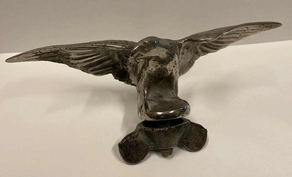 Bird sale radiator cap