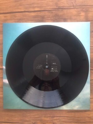 Ichiko Aoba Windswept Adan vinyl LP Record Soundtrack Limited