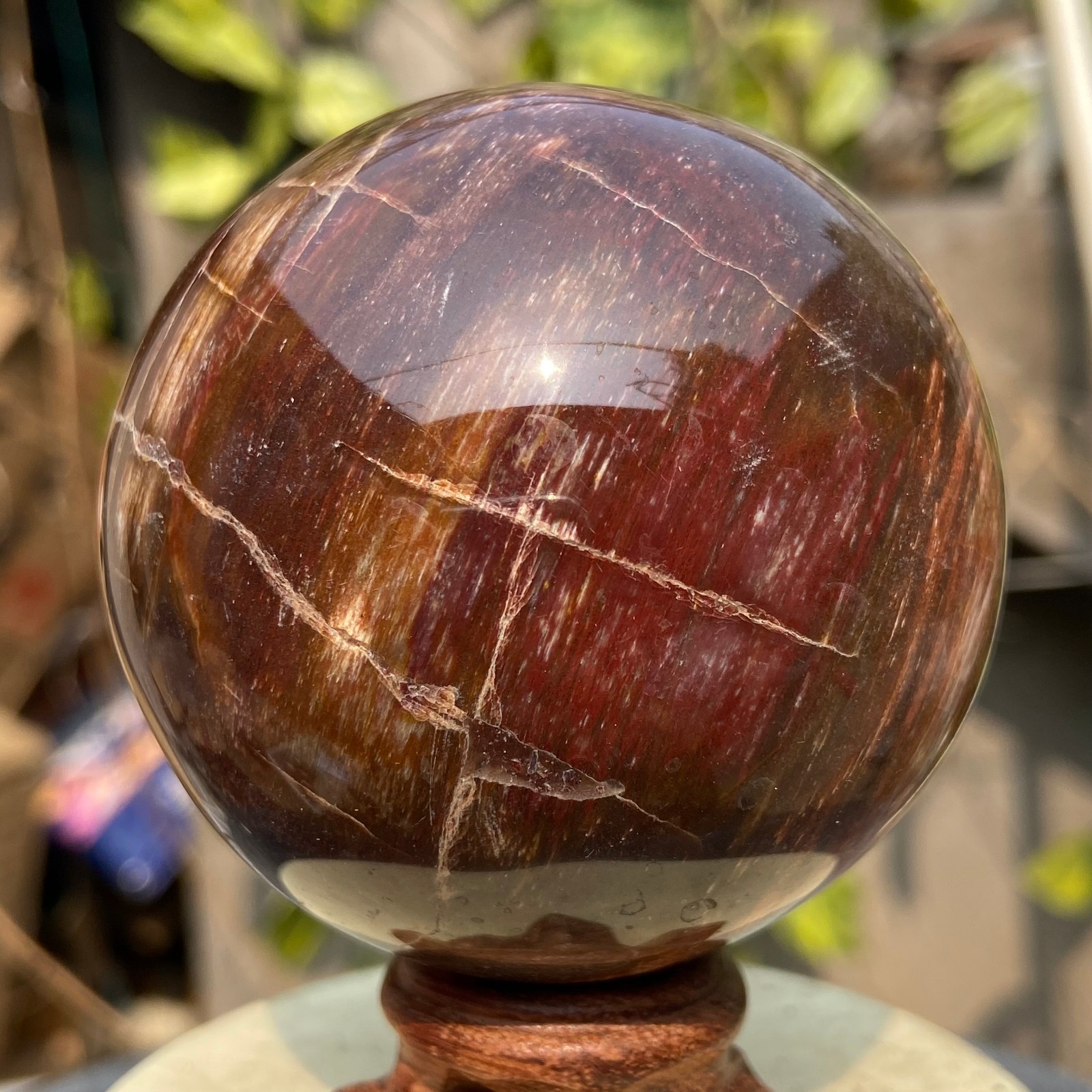 425G Natural Petrified Wood Crystal Ball Polished Fossil Sphere Specimen