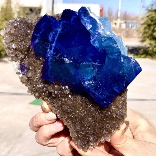 Mineral fluorita cúbica azul transparente natural de Mongolia Interior 2,92 lb - Imagen 6 de 22