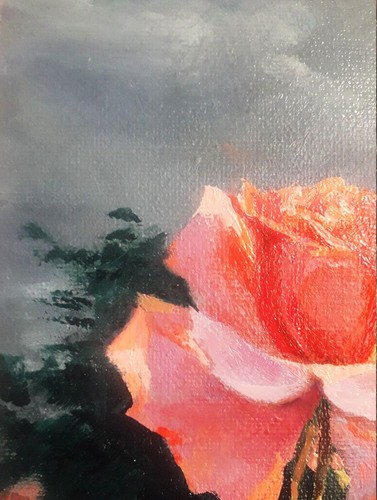 Pink Rose – 8x6 Original Oil Painting on Canvas, Elegant Floral Wall Art - Picture 5 of 10