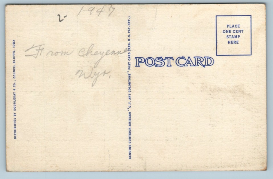 VTG Western Rodeo Charlie Johnson Thrown From Wild Steer Postcard 1939