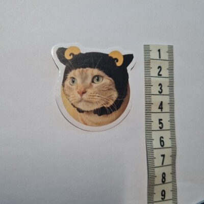 Cat Meme Funny Cute Derp Silly Hat Glanz Sticker Aufkleber Sammeln Geschenk Neu