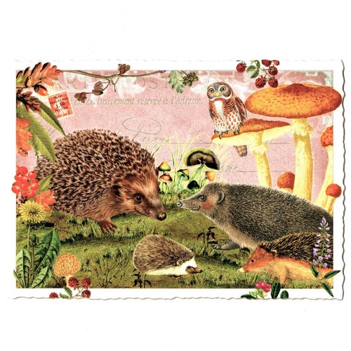 Edition Tausendschön | Postkarte A6 | Flora & Fauna | Motiv wählbar - Bild 18 von 78