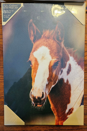 Denver Bryan head of Foal Canvas Print By Big Sky Carvers Demdaco Art match set - Picture 5 of 6