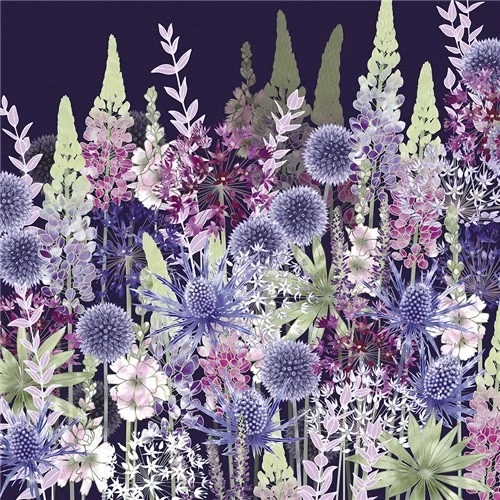 NATURAL PARTNERS ART Midnight Flower Dance - Fine Art Blank Greeting / Birthday Card - Lupins Garden