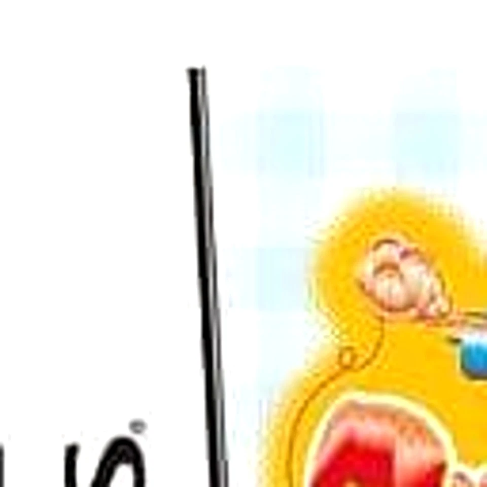 Cooking Mama 2: Dinner with Friends Nintendo DS NDS NTSC-J CIB - Image 2 of 4