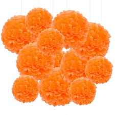 12 PCS Orange Tissue Paper Pom Poms 10 and 12 Inch Hanging Flower Ball