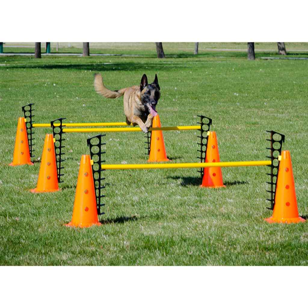 Ensemble de haies FitPAWS pour corriger la démarche du chien et renforcer ses pattes