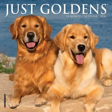 Willow Creek Press,  Just Goldens 2026 Mini Wall Calendar, 7'' X 7'', 18-Month C