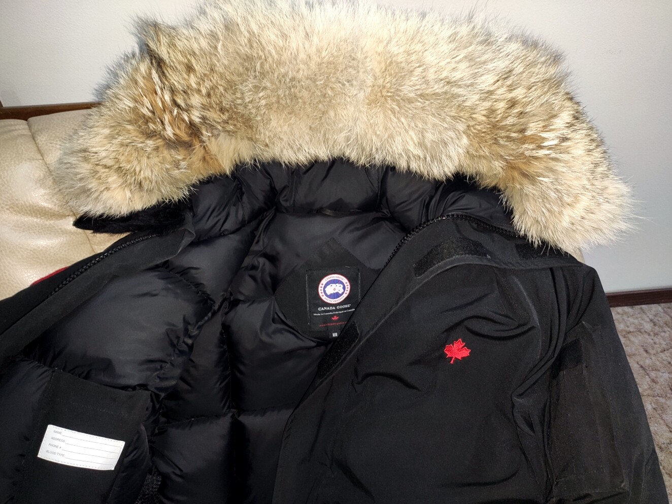 canada goose 3801m