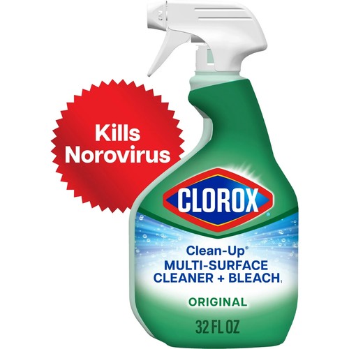 Clorox Bleach All Purpose Cleaner Spray 32 oz Bottle with Free Shipping