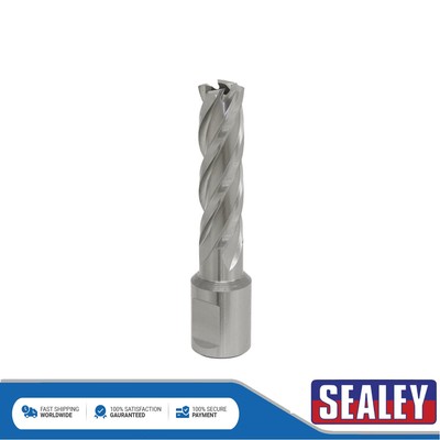 Sealey Worksafe �� 15 mm HSS Mag Bohrer Schnitttiefe 50 mm RBHSS15L