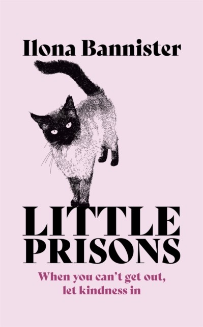 Little Prisons by Ilona Bannister PAPERBACK 9781529353921 - Image 5